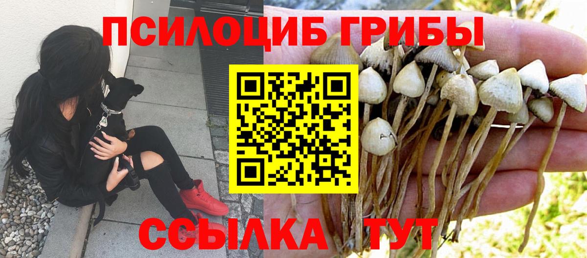 Богородицк  Псилоцибиновые грибы GOLDEN TEACHER  Вход с VPN 